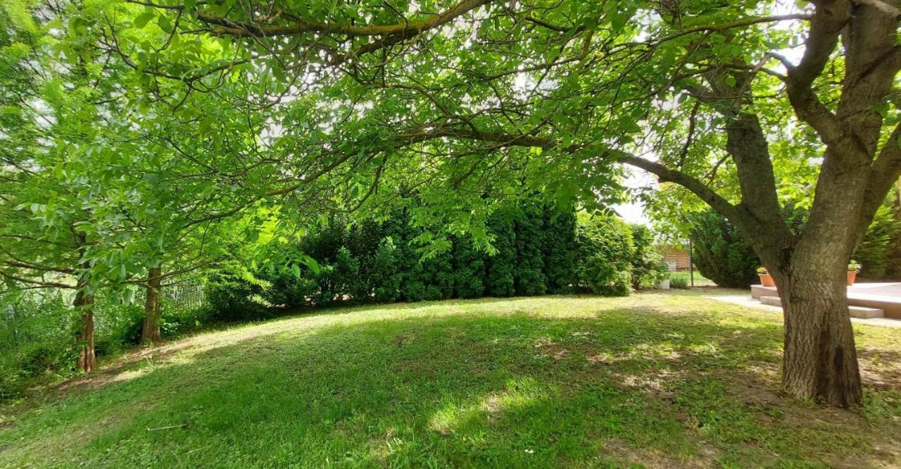 Szemermetes Erzsok Nyaralohaz Villa Gyomaendrőd Buitenkant foto
