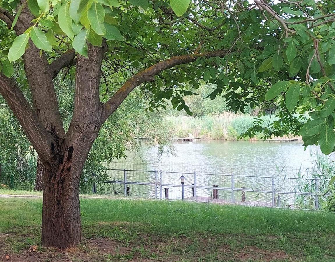 Szemermetes Erzsok Nyaralohaz Villa Gyomaendrőd Buitenkant foto